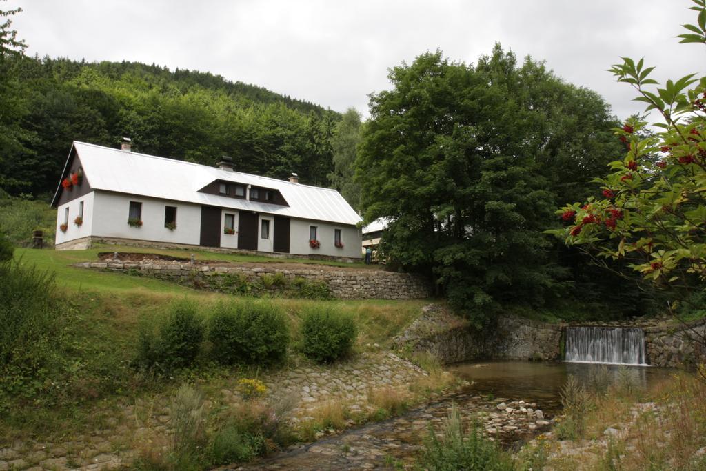 Guest House U Lakomce Desná Dış mekan fotoğraf